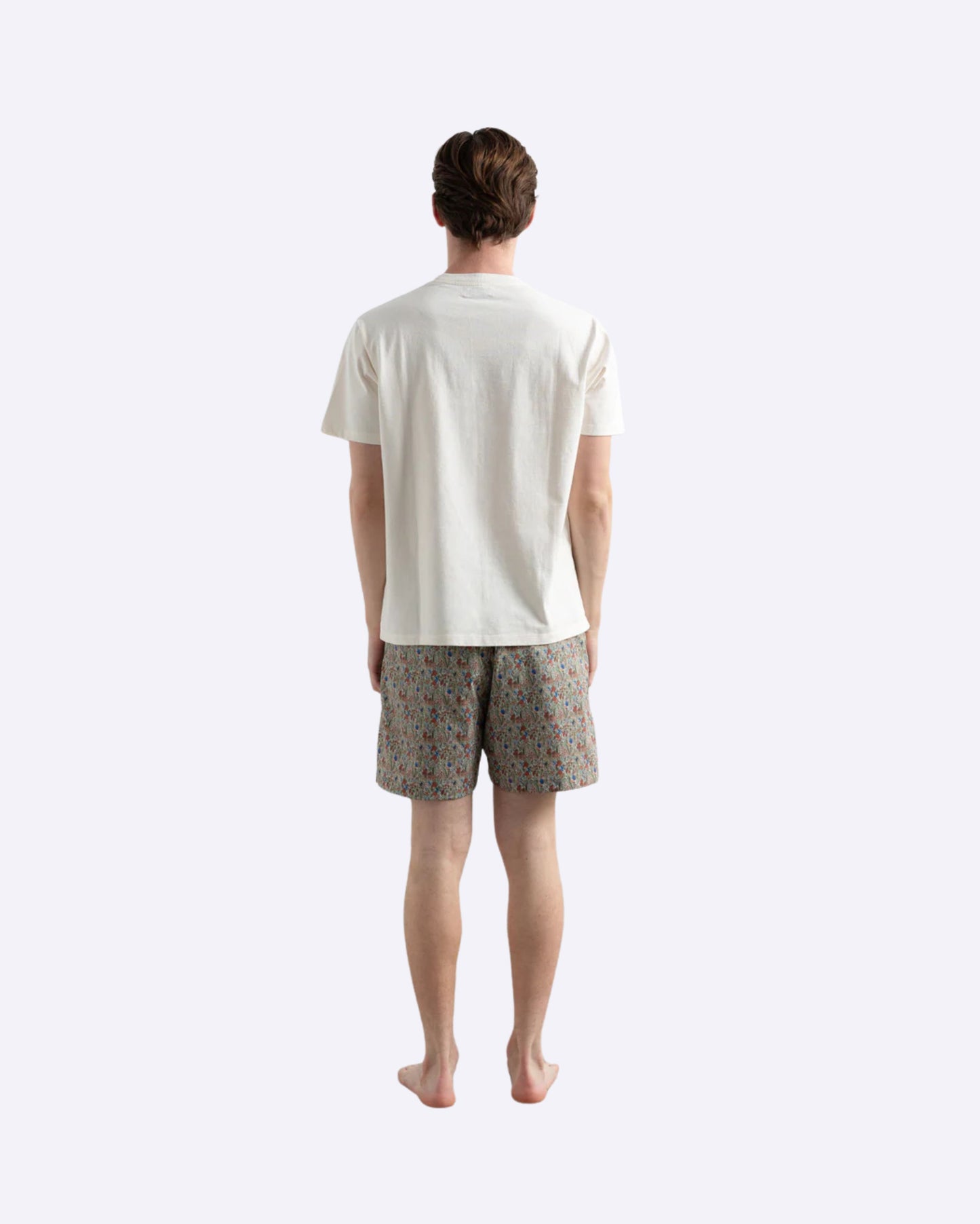 Wildlife Plain Brown