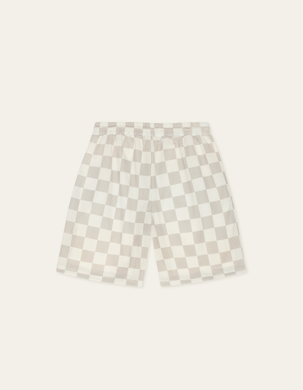 Shawn Mesh Shorts