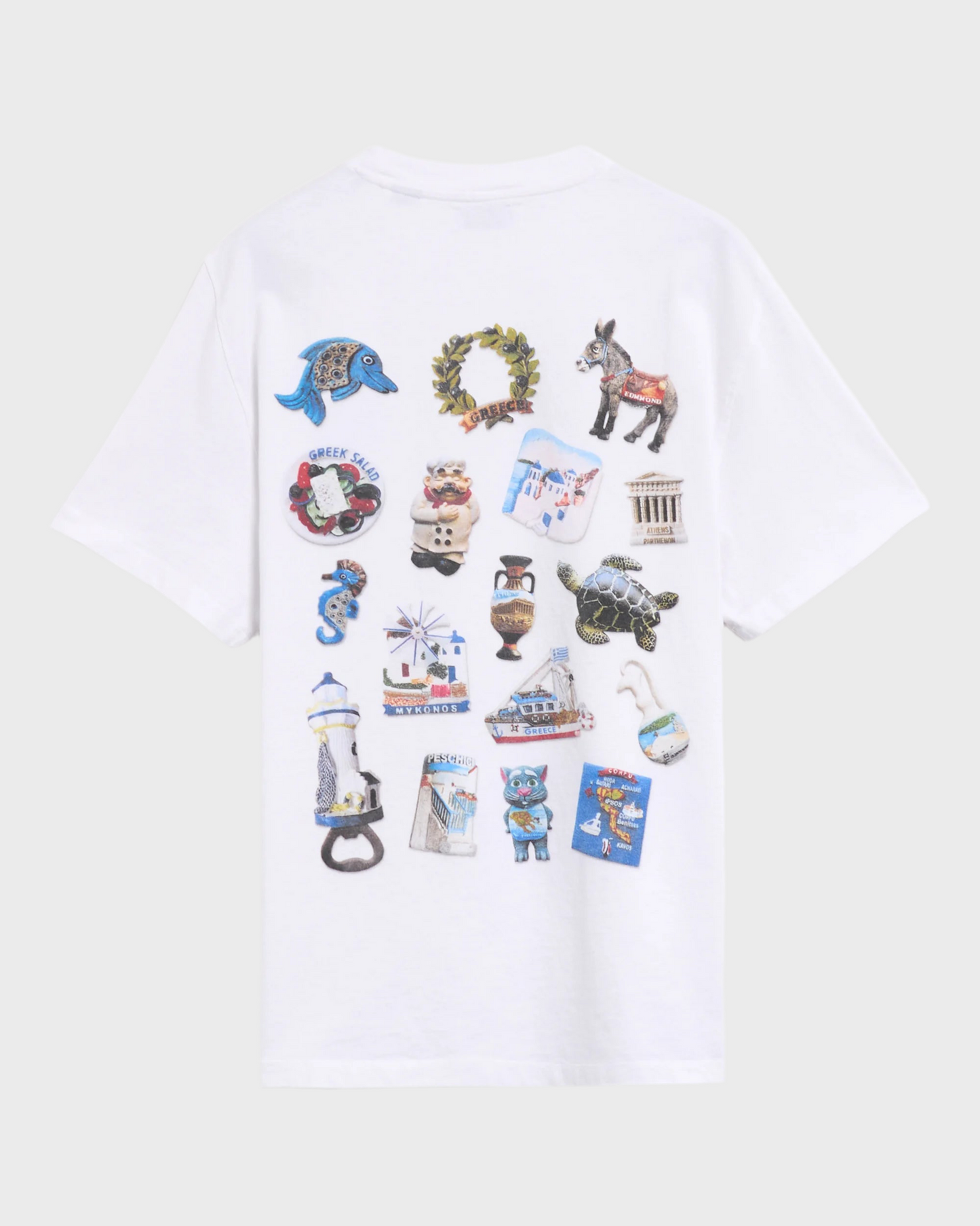 Fridge Magnets Men's T-Shirt