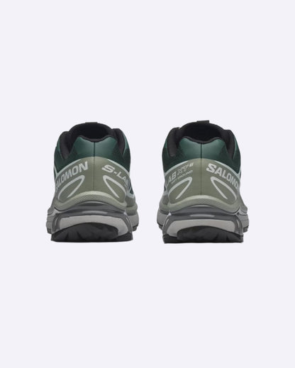 XT-6 Bistro Green