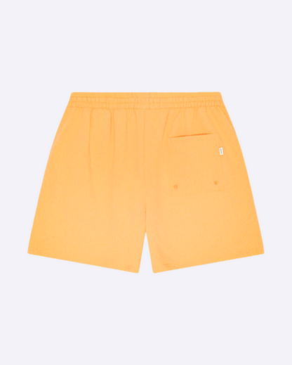 Seersucker Swim Shorts