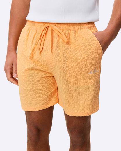 Seersucker Swim Shorts