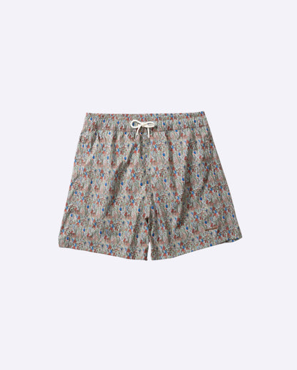 Wildlife Plain Brown