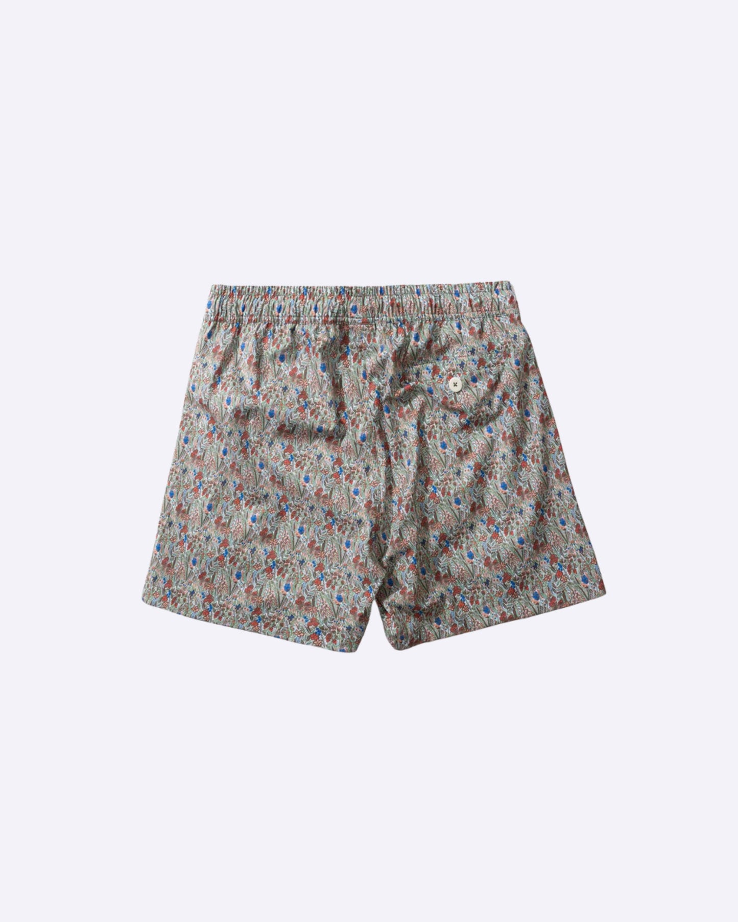 Wildlife Plain Brown