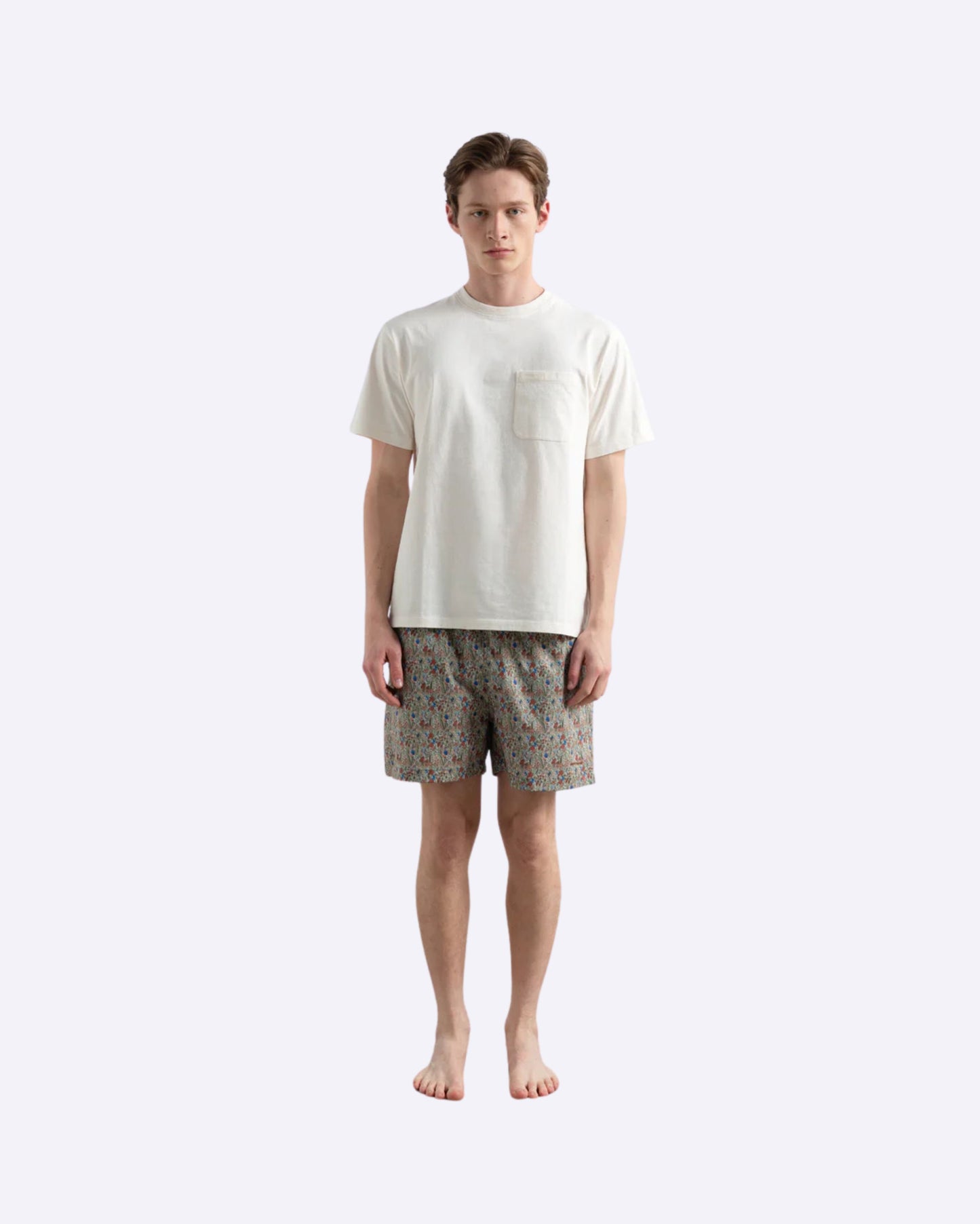 Wildlife Plain Brown