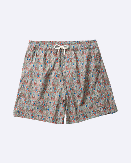 Wildlife Plain Brown
